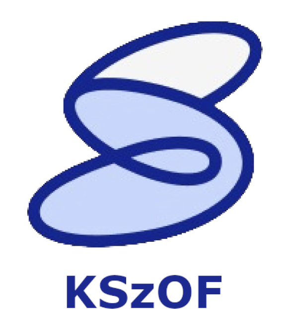 Kwestionariusz Szkolnej Oceny Funkcjonalnej (KSzOF)